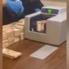 Uang ditemukan dalam penggeledahan di sebuah kafe. (IST)