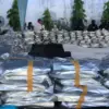 Barang bukti 3,37 ton bunga ganja yang diamankan BNN RI dan Bea Cukai dari pergudangan Prambanan Bizland, Gres