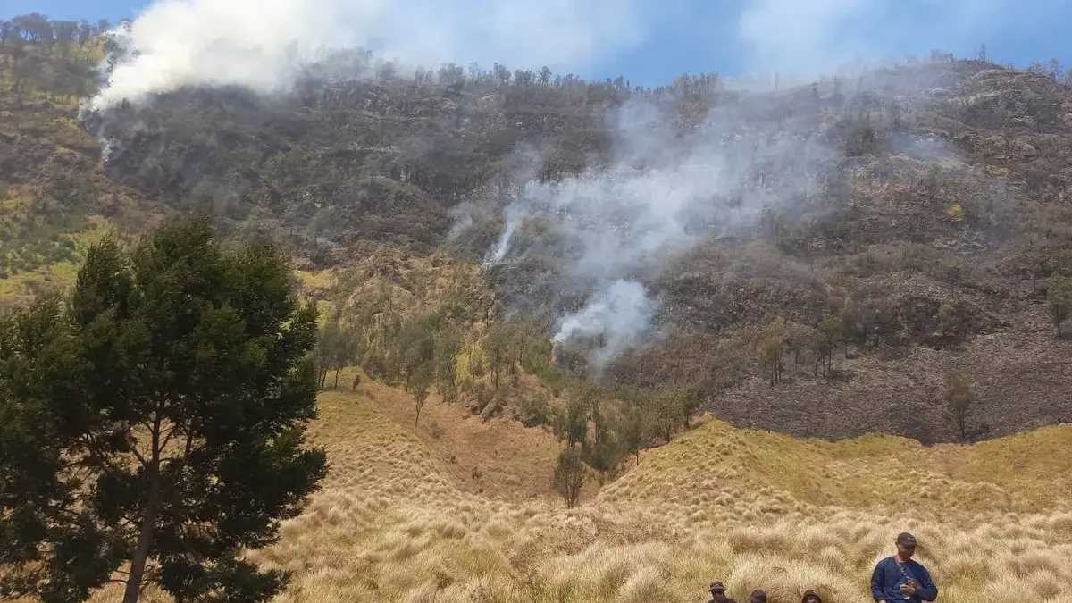 BPBD Probolinggo Luas Savana Gunung Bromo yang Terbakar Diprediksi Capai 80 Hektar Titik api masih ditemukan pada hari ke empat di kawasan Taman Nasional Bromo Tengger Semeru, Kamis (6/8/2026).