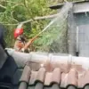 Petugas melakukan pemadaman api yang membakar salah satu rumah di Perum Griya Asri Kejuden 2 Blok Winong RT 02