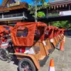 Pada tahap awal, sekitar 200 unit becak listrik dialokasikan untuk Kuningan, terutama bagi desa wisata dan wil