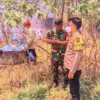 Kandang kambing terbakar, puluhan ternak mati. (ist)