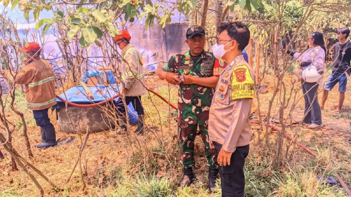 Lahan Pekarangan dan Kandang di Klayan Cirebon Terbakar, 28 Ekor Kambing Mati Terpanggang Kandang kambing terbakar, puluhan ternak mati. (ist)