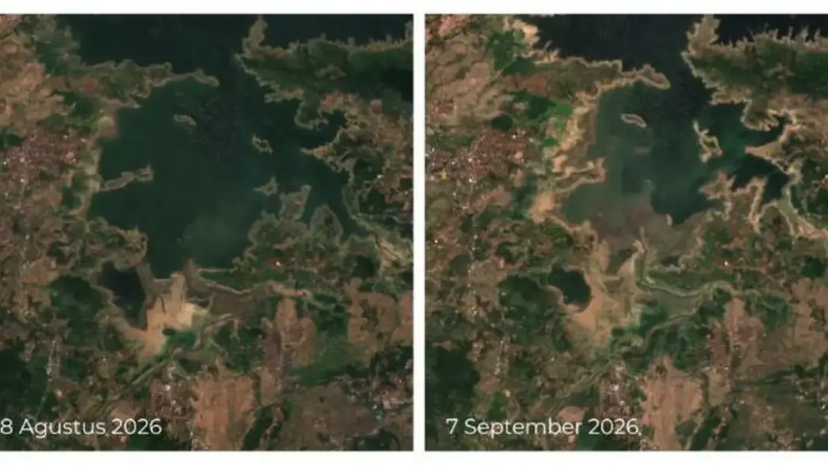 Waduk Jatigede Sumedang Kering! Daratan Terbuka Setara 360 Lapangan Bola Penampakan citra satelit Waduk Jatigede di Sumedang, Jawa Barat, yang terdampak kekeringan. (Foto: Dok. Badan