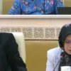 Anggota Ombudsman Fikri Yasin dan Syafrida R. Rasahan saat rapat dengan Komisi II DPR RI. (Youtube TV Parlemen