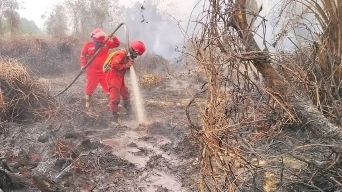 Kementerian Kehutanan bersama BNPB tetap memperkuat operasi pengendalian di Kalimantan Tengah, termasuk melalu