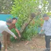 Petugas kepolisian saat melakukan olah tempat kejadian perkara (TKP) suami bunuh istri di Ogan Komering Ilir,