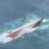 Potret udara Kapal Virgo Transport 8 yang terbalik usai hilang kontak di Laut Jawa. (dok.Basarnas)