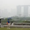 PM Singapura Usut Perusahaan Pemicu Karhutla Indonesia, Siap Jerat Lewat UU Kabut Asap Lintas Batas